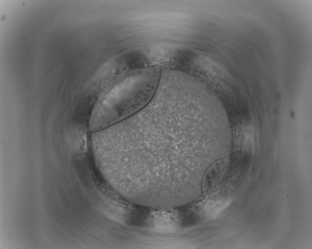 X0000073450703200608111350