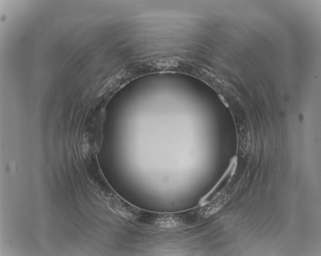 X0000073450704200608111350