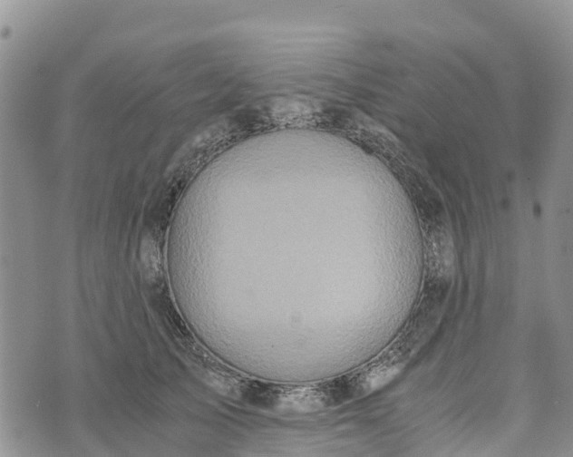 X0000073450705200608111350