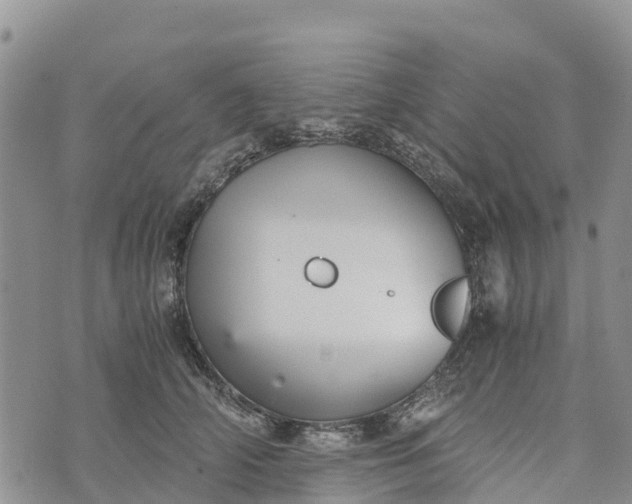 X0000073450706200608111350