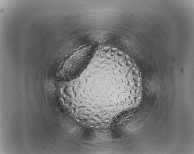 X0000073450707200608111350