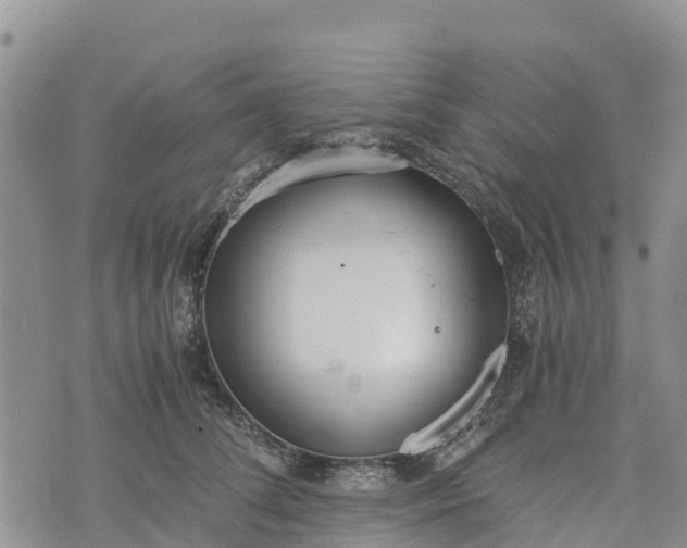 X0000073450708200608111350