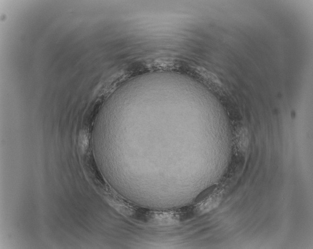 X0000073450709200608111350