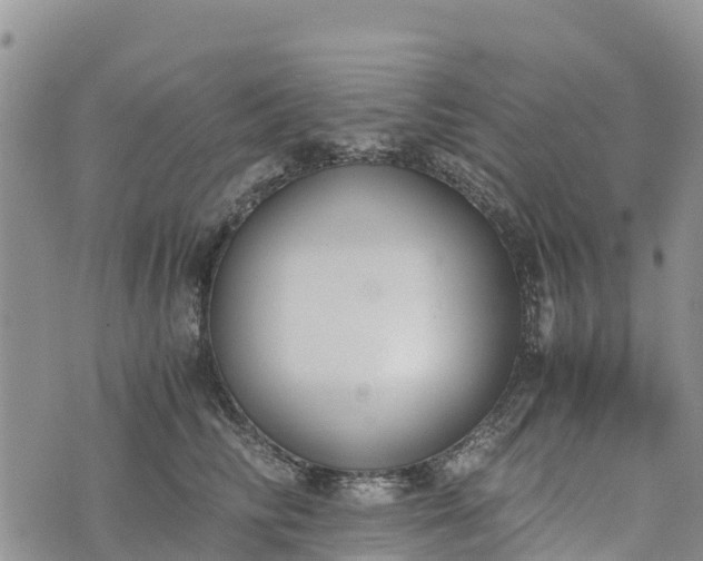 X0000073450710200608111350