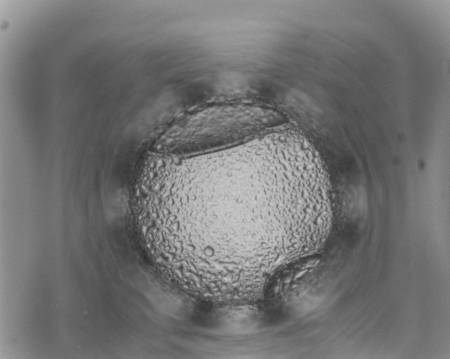 X0000073450711200608111350