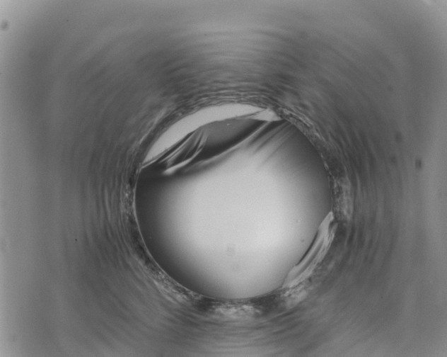 X0000073450712200608111350