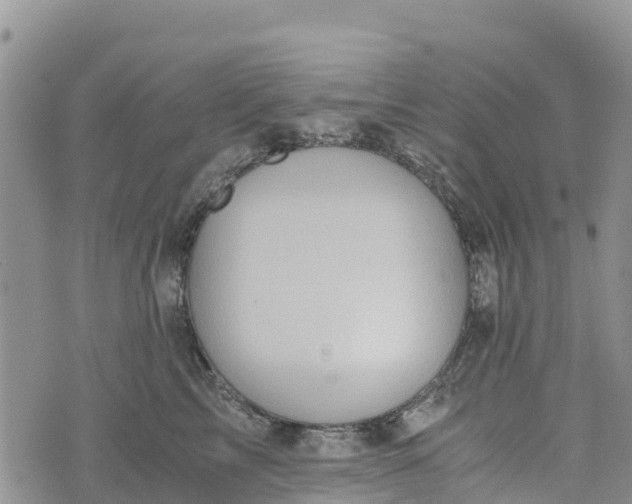 X0000073450713200608111350