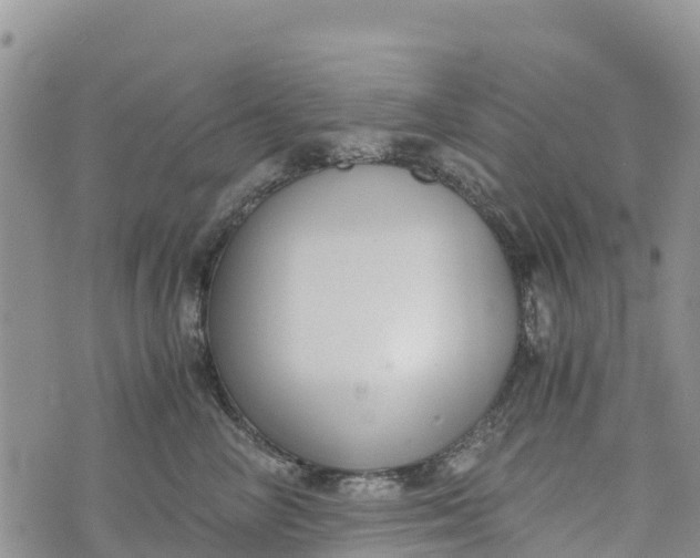 X0000073450714200608111350