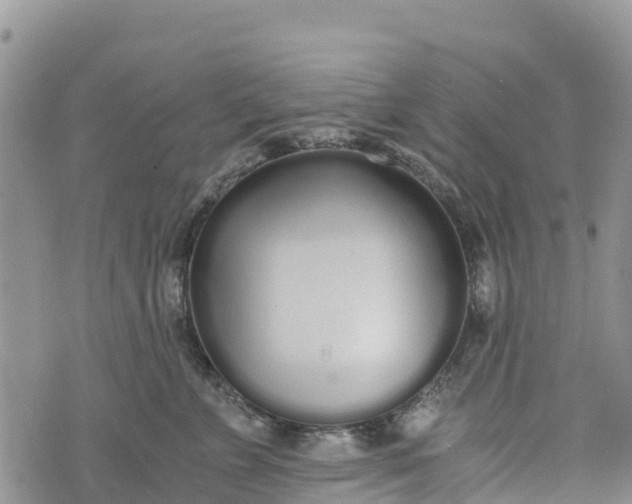 X0000073450715200608111350