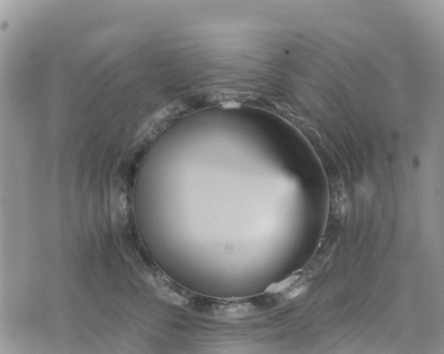 X0000073450716200608111350