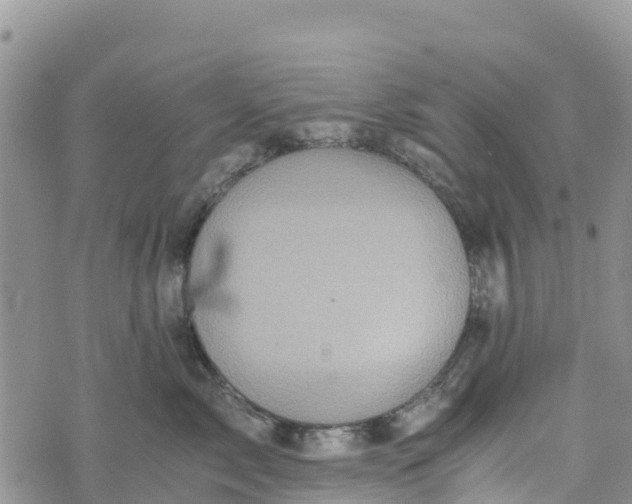 X0000073450717200608111350