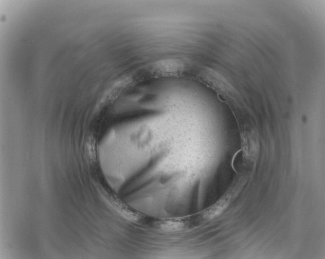 X0000073450718200608111350