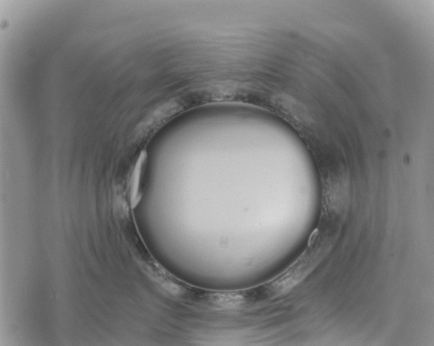 X0000073450719200608111350