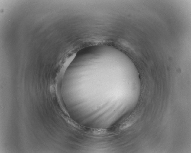 X0000073450720200608111350