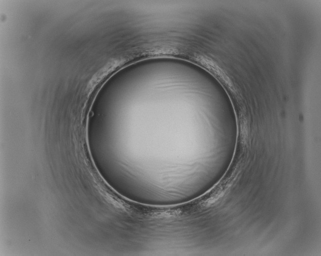 X0000073450721200608111349