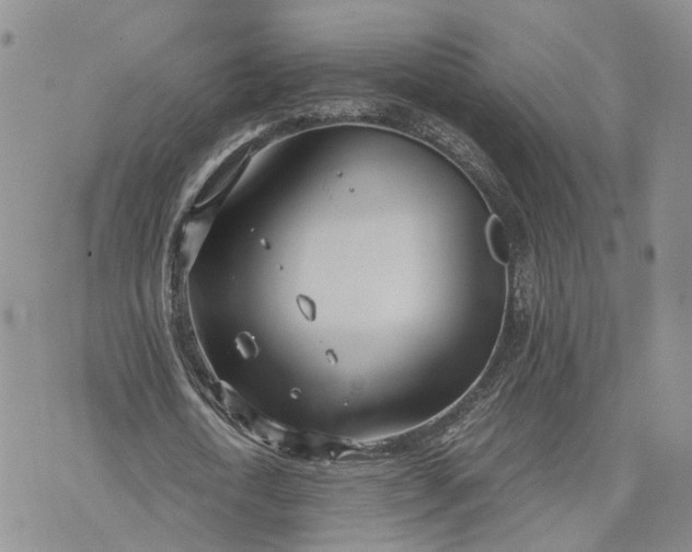 X0000073450722200608111349