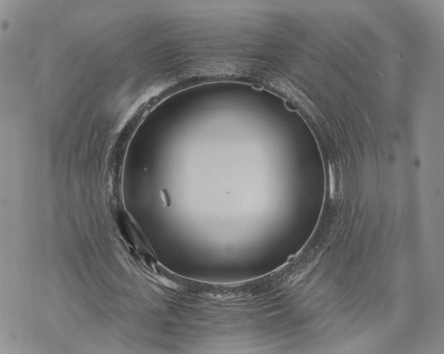 X0000073450723200608111349