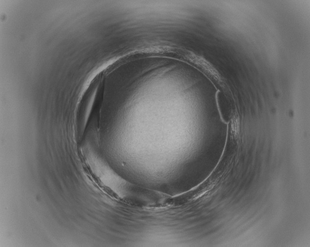 X0000073450724200608111349