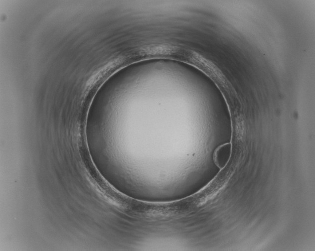 X0000073450725200608111349