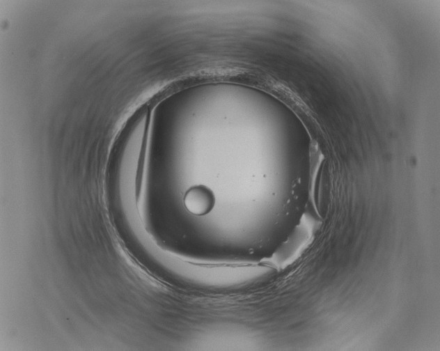 X0000073450726200608111349