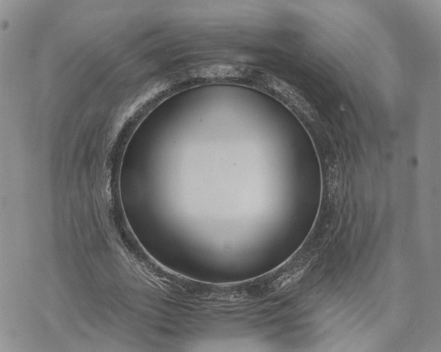 X0000073450727200608111349