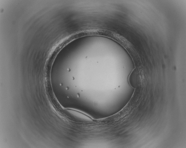 X0000073450728200608111349