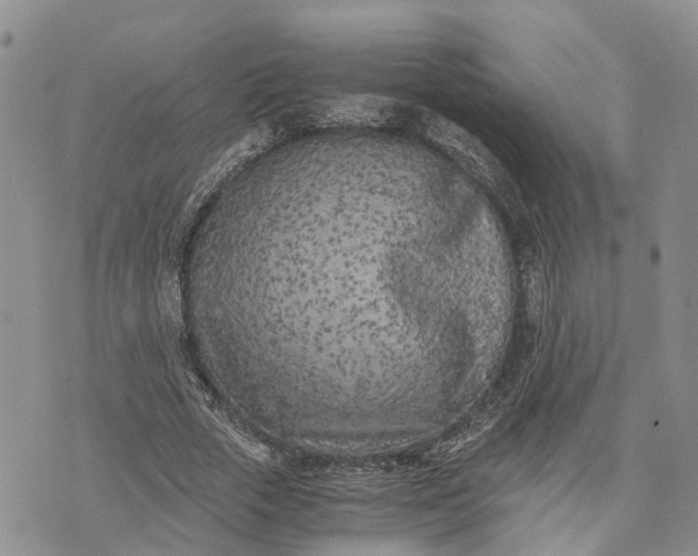 X0000073450729200608111349