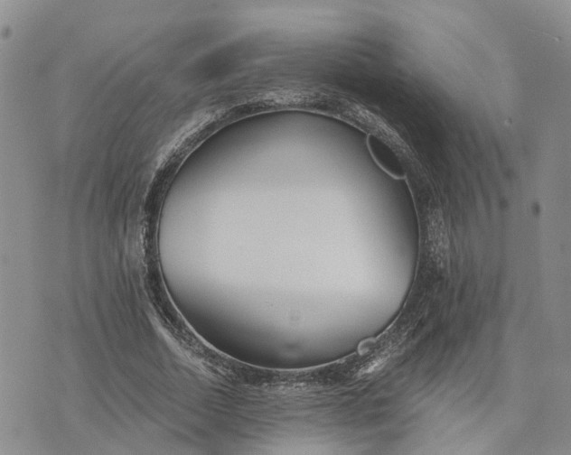 X0000073450730200608111349