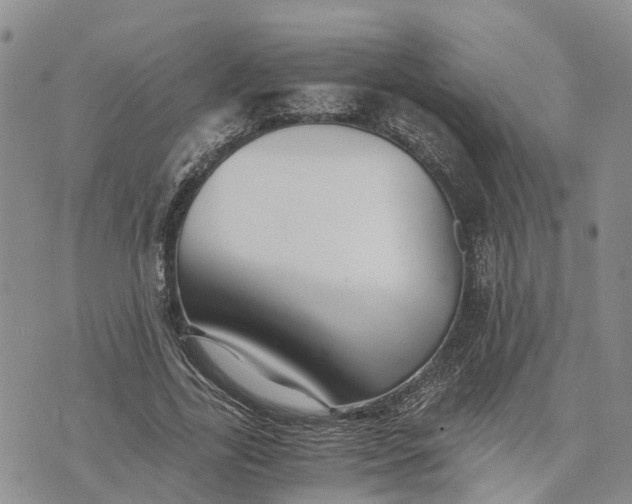 X0000073450731200608111349