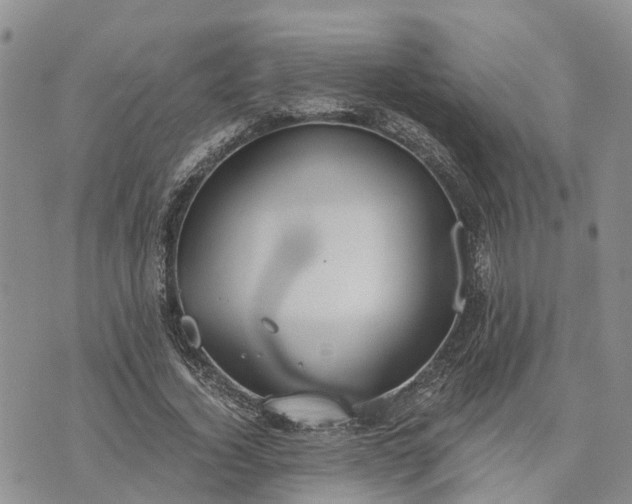 X0000073450732200608111349