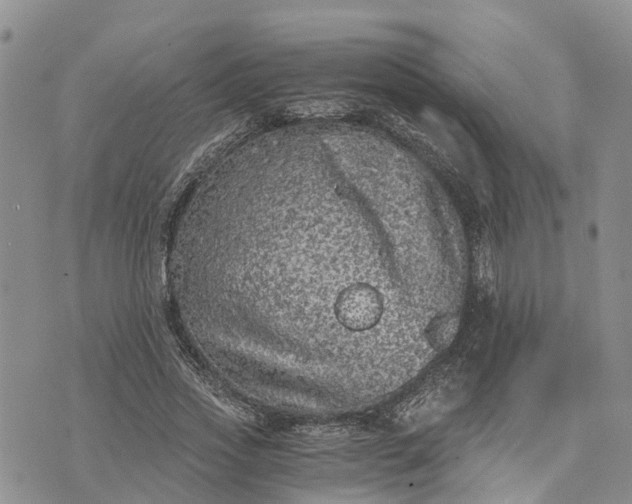 X0000073450733200608111349