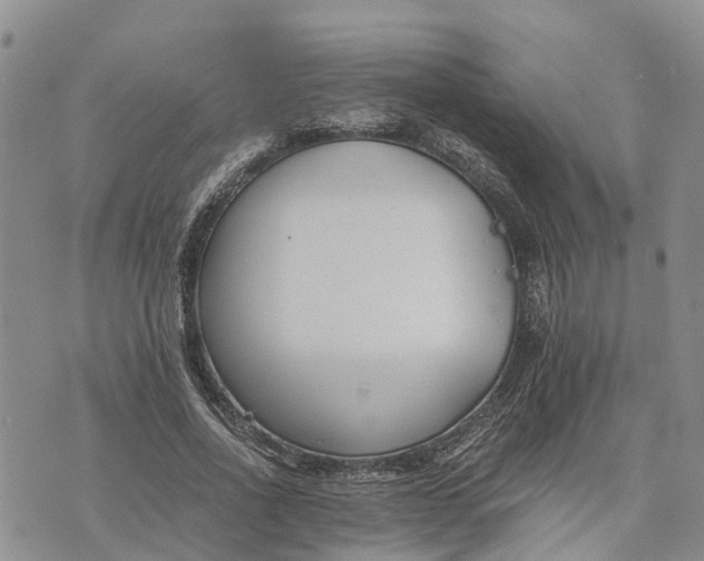 X0000073450734200608111349