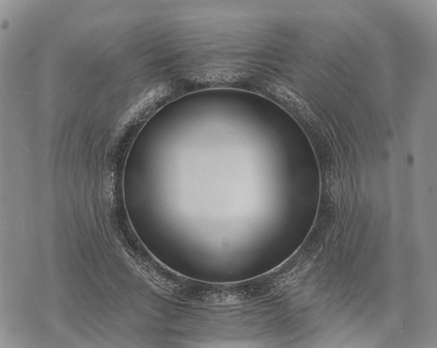 X0000073450735200608111349