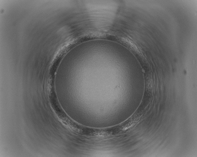 X0000073450736200608111349