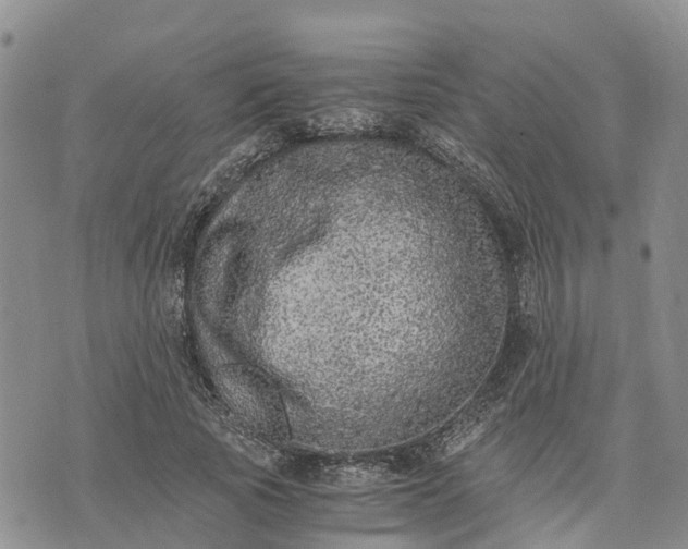 X0000073450737200608111349