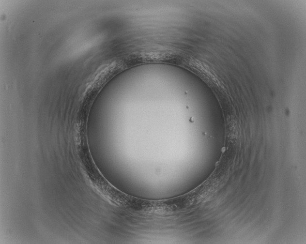 X0000073450738200608111349