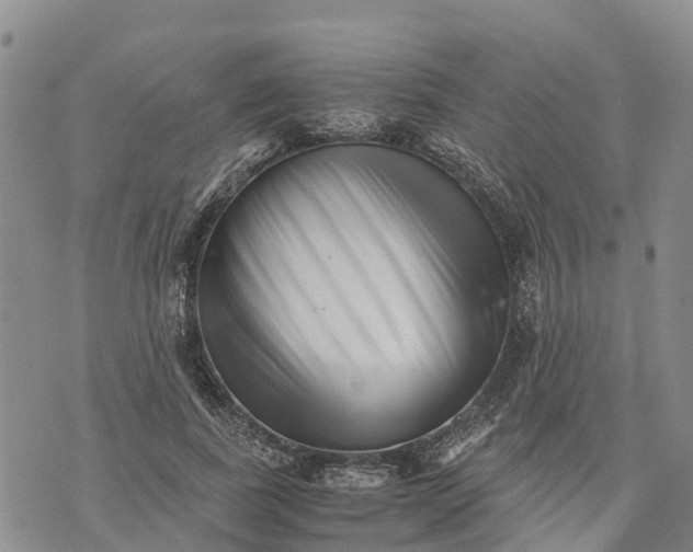 X0000073450739200608111349