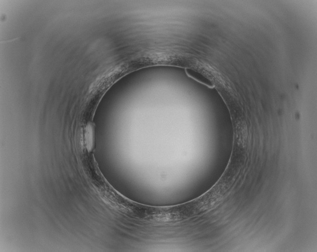 X0000073450740200608111350