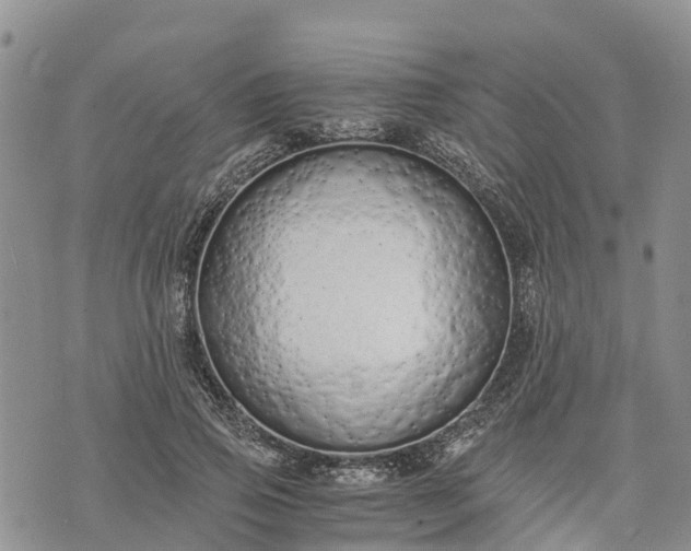 X0000073450741200608111350