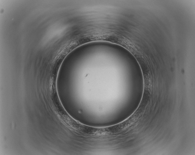 X0000073450742200608111350