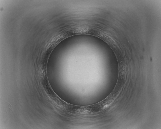 X0000073450743200608111350