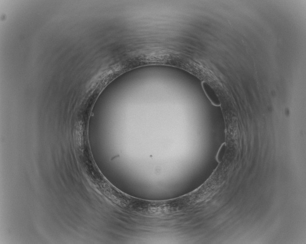 X0000073450744200608111350