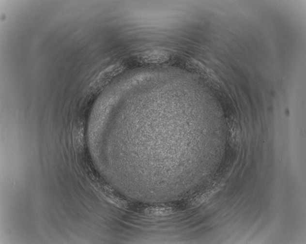 X0000073450745200608111350