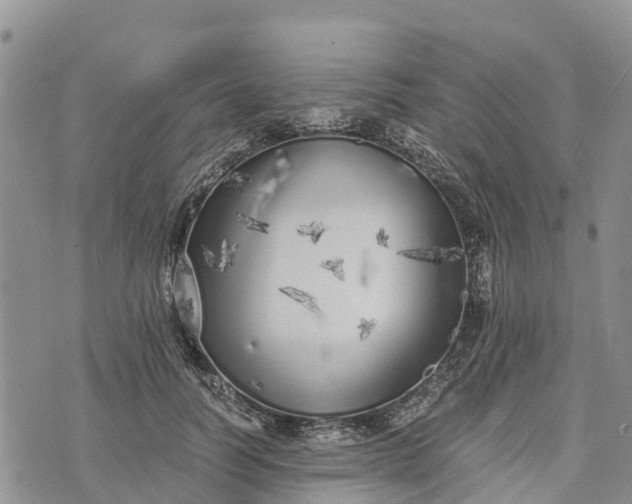 X0000073450746200608111350