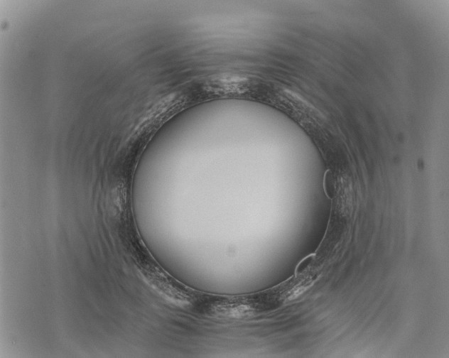 X0000073450747200608111350