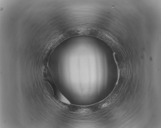 X0000073450748200608111350