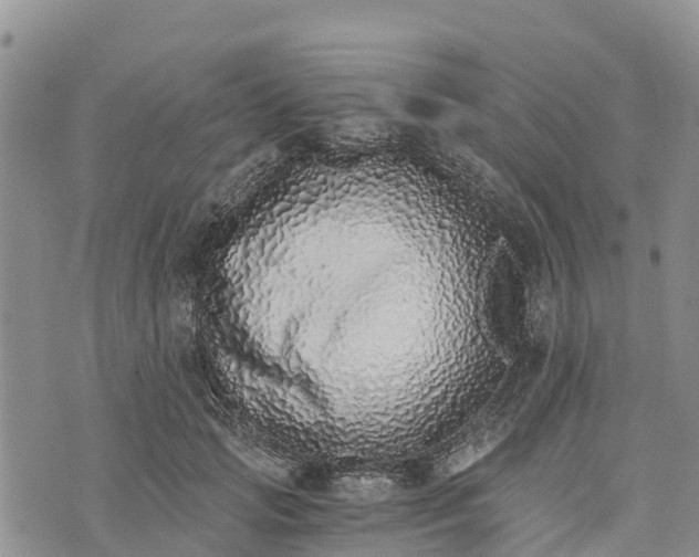 X0000073450749200608111350