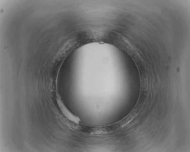 X0000073450750200608111350