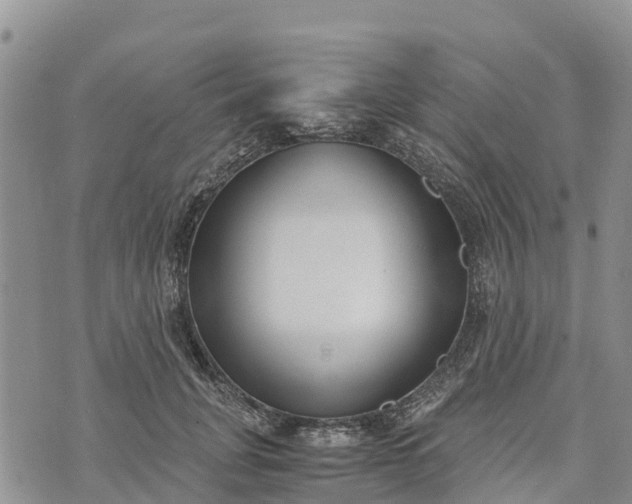 X0000073450751200608111350