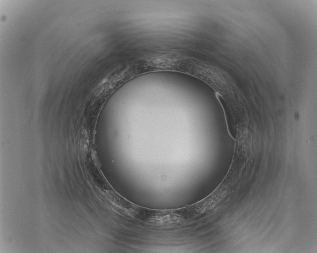 X0000073450752200608111350